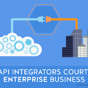 API Integrators Court Enterprise Business Players